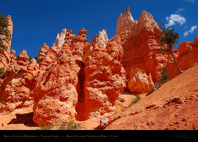Bryce_Canyon_Hoodoos_Navajo_Trail_6760