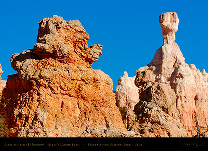 Bryce_Canyon_Elephant_and_ET_Queens_Garden_5373