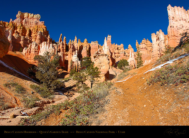 Bryce_Canyon_Hoodoos_Queens_Garden_5345