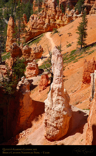 Bryce_Canyon_Queens_Garden_Trail_X2078