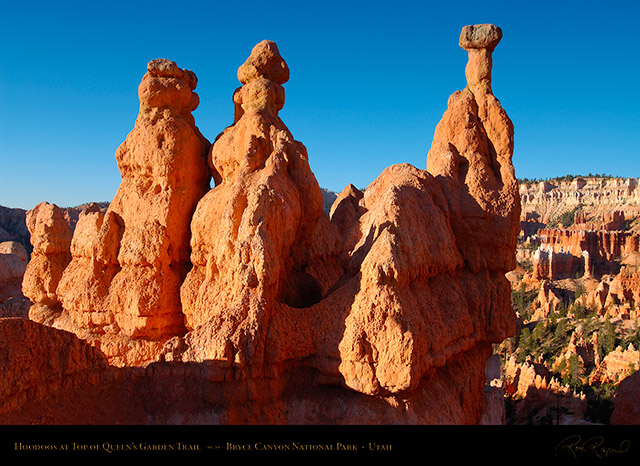 Bryce_Canyon_Queens_Garden_X1969