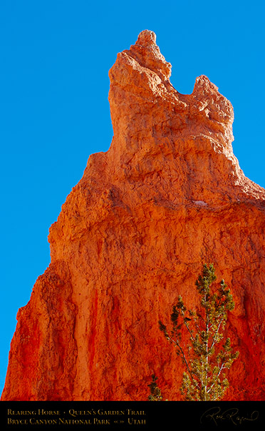 Bryce_Canyon_Rearing_Horse_Queens_Garden_5384