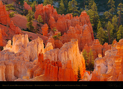 Bryce_Canyon_Hoodoos_at_Sunrise_X1797