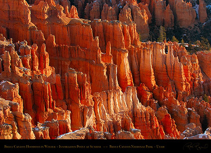 Bryce_Canyon_Hoodoos_at_Sunrise_in_Winter_5501