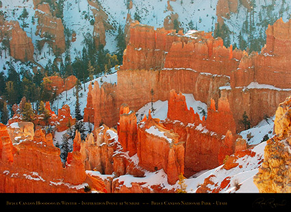 Bryce_Canyon_Hoodoos_at_Sunrise_in_Winter_5521