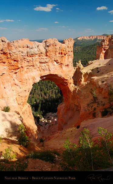 Bryce_Canyon_Natural_Bridge_X2094