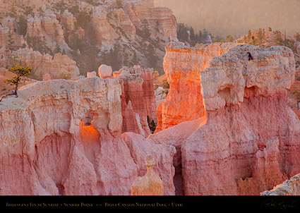 Bryce_Canyon_Iridescent_Fin_at_Sunrise_0468