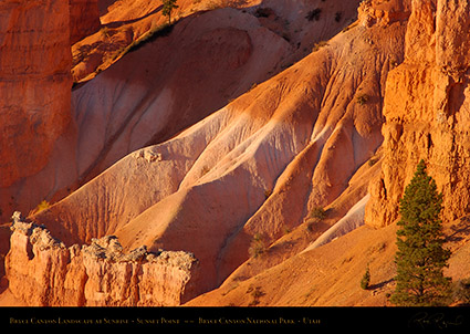 Bryce_Canyon_Landscape_Sunset_Point_at_Sunrise_0500