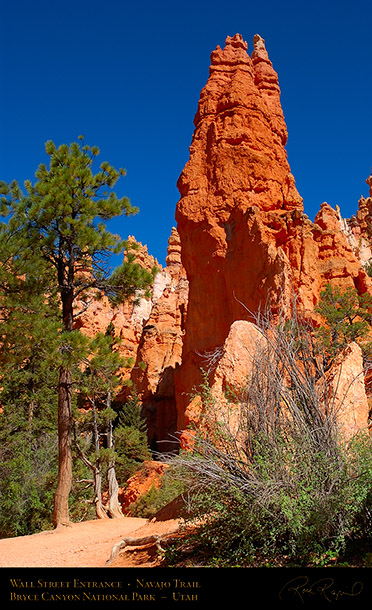 Wall_Street_Entrance_Navajo_Trail_5674