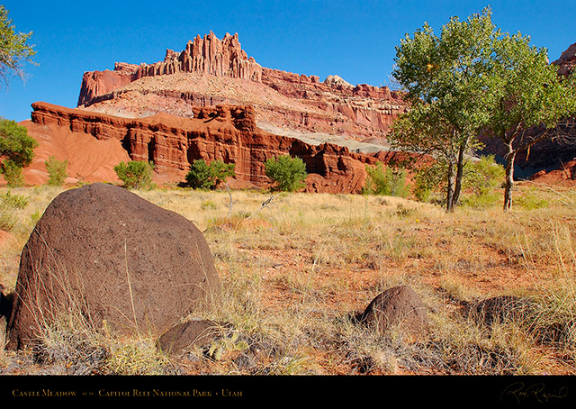 Castle_Meadow_Capitol_Reef_1387