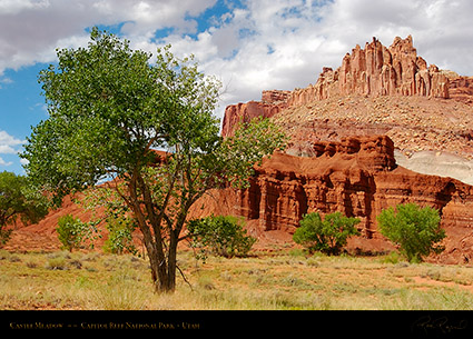 Castle_Meadow_Capitol_Reef_7134