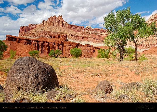 Castle_Meadow_Capitol_Reef_7137