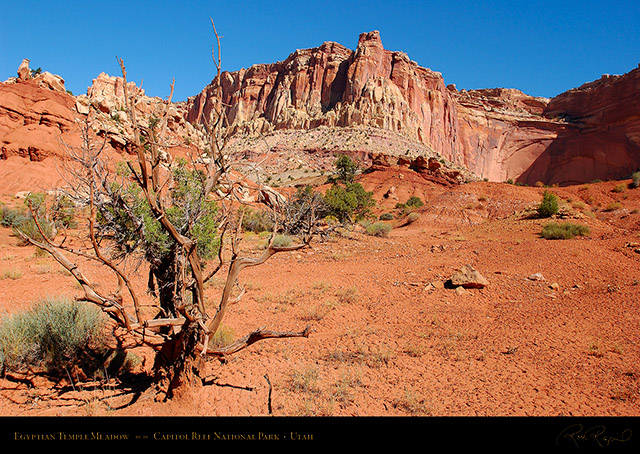 Egyptian_Temple_Meadow_Capitol_Reef_1432