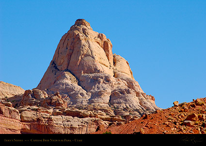Ferns_Nipple_Capitol_Reef_1396