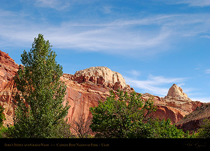 Ferns_Nipple_Capitol_Reef_5837
