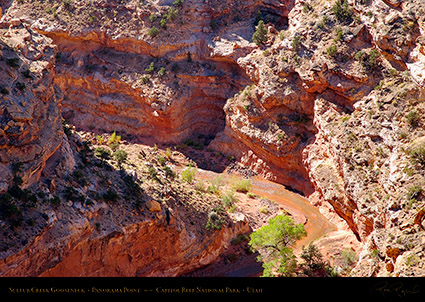 Goosenecks_Capitol_Reef_1361
