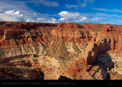 Goosenecks_Capitol_Reef_5799