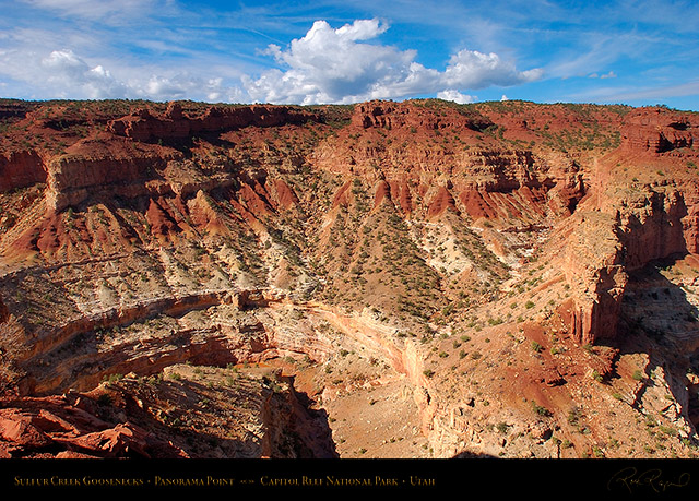 Goosenecks_Capitol_Reef_5811