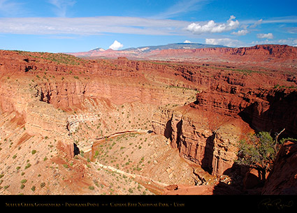 Goosenecks_Capitol_Reef_5817