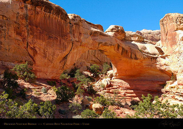Hickman_Natural_Bridge_Capitol_Reef_1506