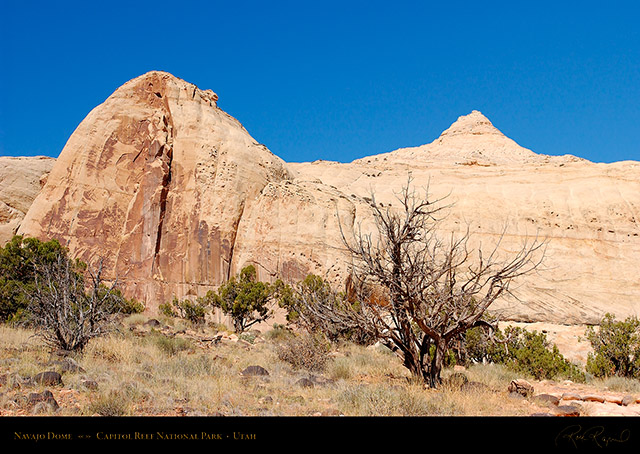 Navajo_Dome_Capitol_Reef_1499