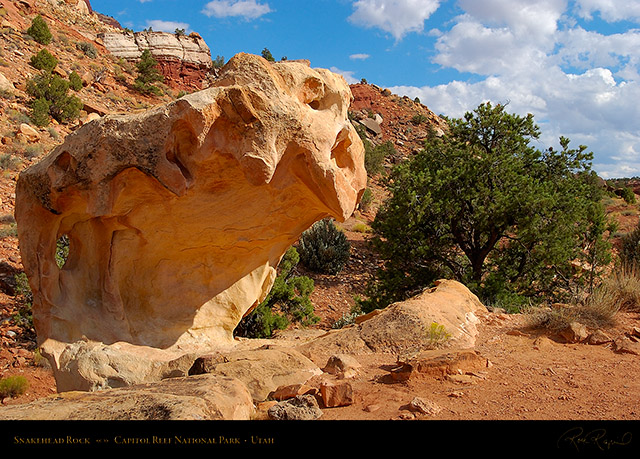 Snakehead_Rock_Capitol_Reef_7222