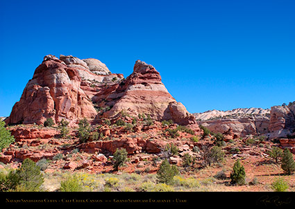 Calf_Creek_Canyon_0848