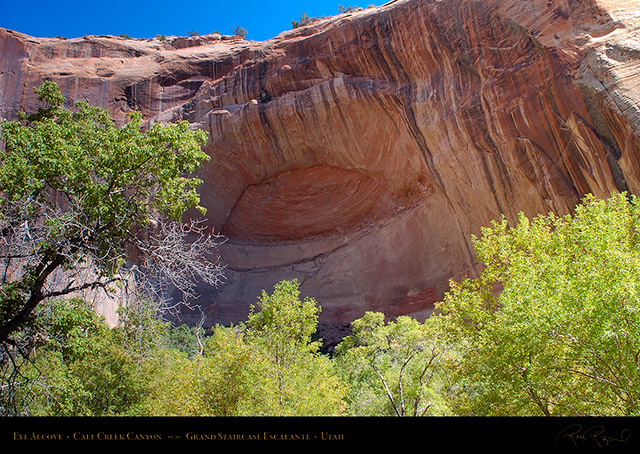 Calf_Creek_Canyon_Eye_Alcove_0949