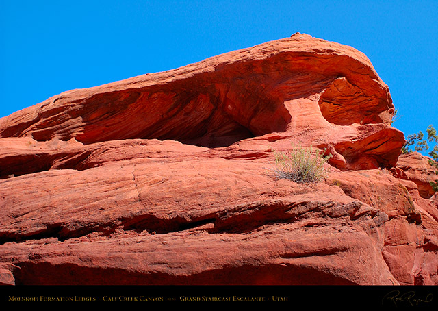 Calf_Creek_Canyon_Moenkopi_Ledges_0843