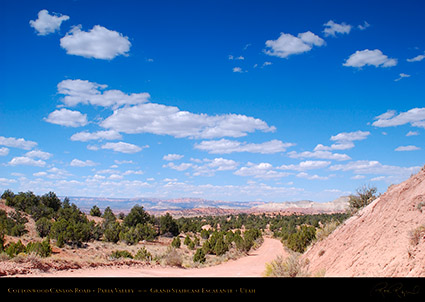 Cottonwood_Canyon_Road_Paria_Valley_1179