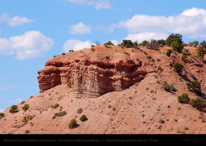 Uranium_in_Sandstone_Grand_Staircase_1177