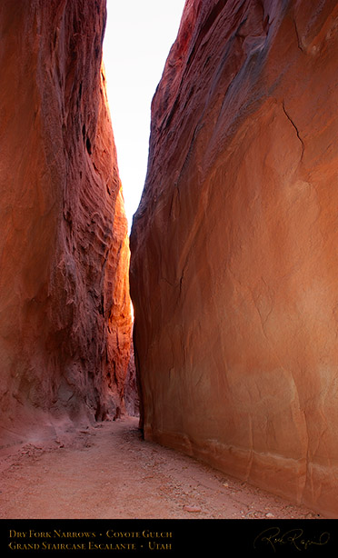 Dry_Fork_Narrows_Coyote_Gulch_1698
