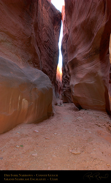Dry_Fork_Narrows_Coyote_Gulch_1703