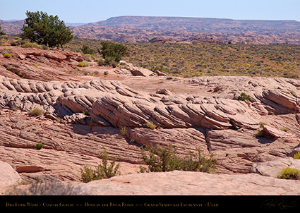 Dry_Fork_Wash_Coyote_Gulch_1673