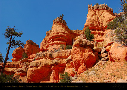 Red_Canyon_Ledges_Arches_Trail_0704