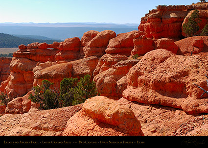 Red_Canyon_Ledges_Arches_Trail_0705