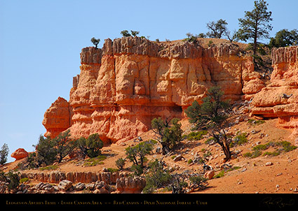 Red_Canyon_Ledges_Arches_Trail_0726