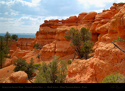 Red_Canyon_Ledges_Arches_Trail_X2304