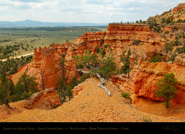 Red_Canyon_Ledges_Arches_Trail_X2315