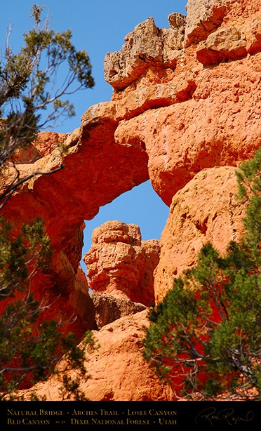 Red_Canyon_Natural_Bridge_Arches_Trail_0737