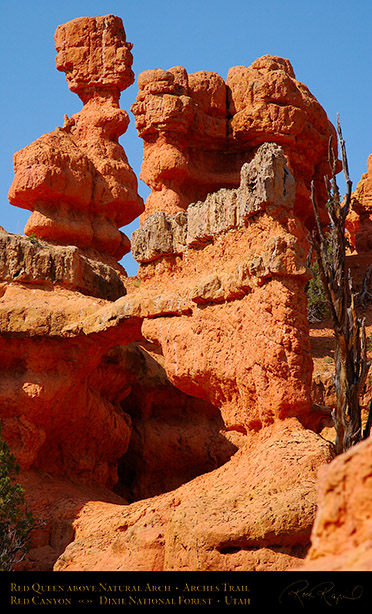 Red_Canyon_Red_Queen_Arch_Arches_Trail_0735