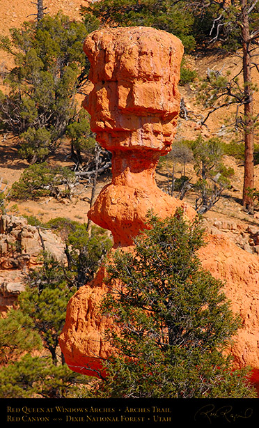 Red_Canyon_Red_Queen_Arches_Trail_0757