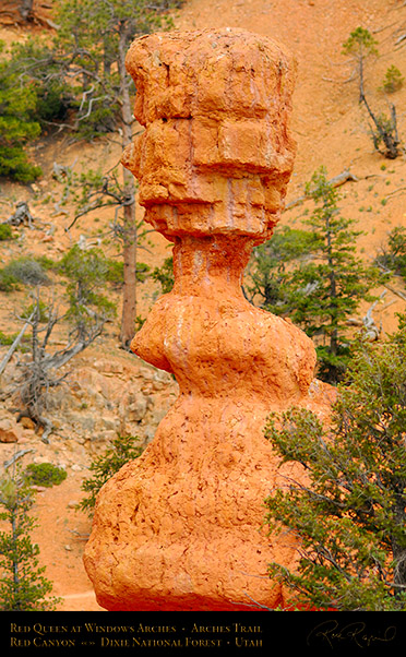 Red_Canyon_Red_Queen_Arches_Trail_X2329