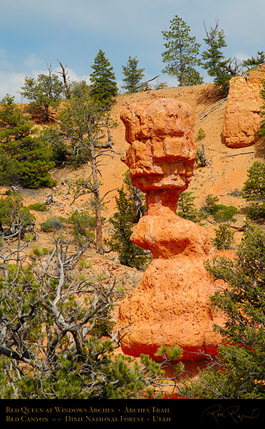 Red_Canyon_Red_Queen_Arches_Trail_X2332