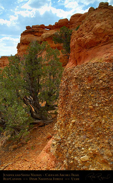 Red_Canyon_Stone_Matrix_Arches_Trail_X2303