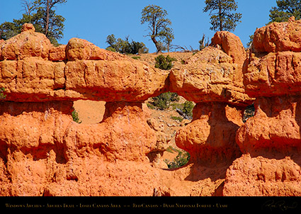 Red_Canyon_Windows_Arches_Trail_0710