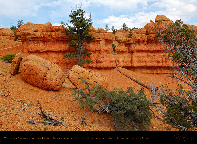 Red_Canyon_Windows_Arches_Trail_X2339