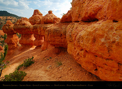 Red_Canyon_Windows_Arches_Trail_X2346