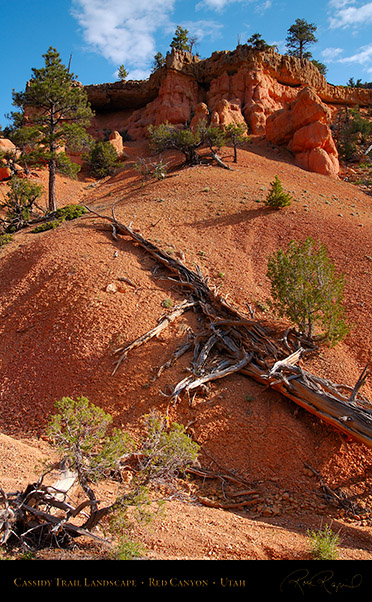 Red_Canyon_Cassidy_Trail_Landscape_X2200