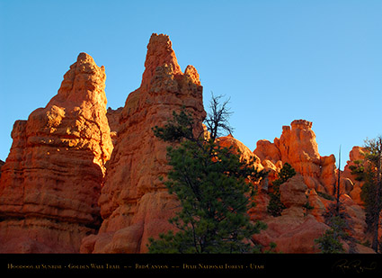 Red_Canyon_Golden_Wall_Trail_Sunrise_X5686